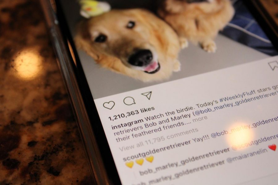 One of Instagrams social media posts, with over 1.2 million likes. Soon, public display of likes will be no more, according to Instagram CEO Adam Mosseri
