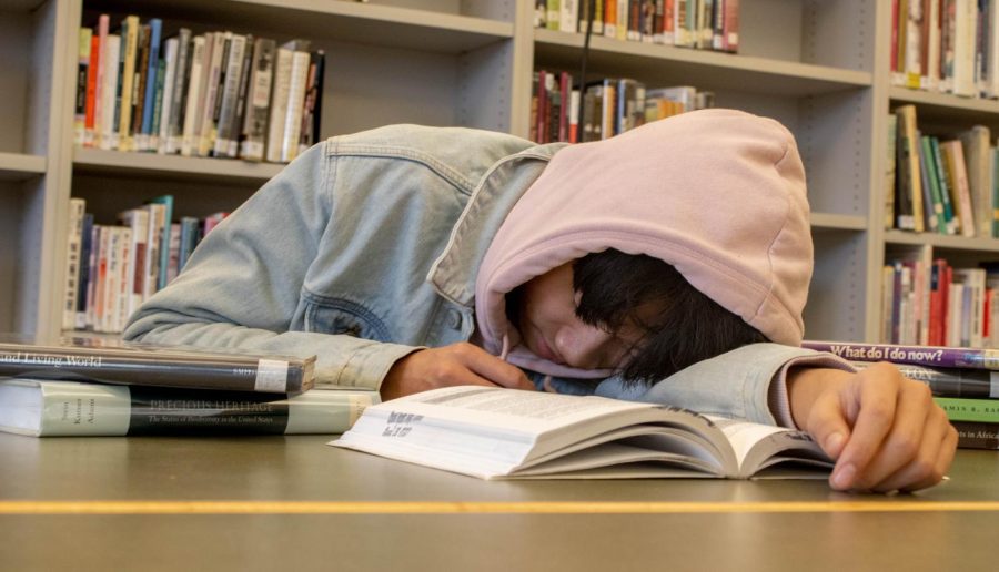 Student taking a nap in between their study sessions. Many students feel the need to catch up on sleep during the day due to late nights of studying.
