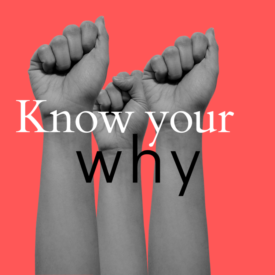 Know+your+why.+On+Dec.+1%2C+when+many+students+left+class+to+protest%2C+some+made+a+decision+to+stay+put.+