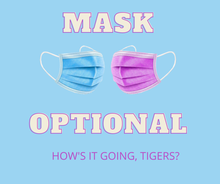 Masks+are+now+optional+at+TTSD.+Students+spent+the+week+trying+to+decide+what+they+should+do.