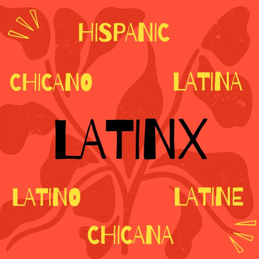 What is “Latinx”?